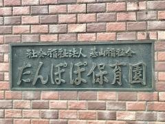 たんぽぽ保育園