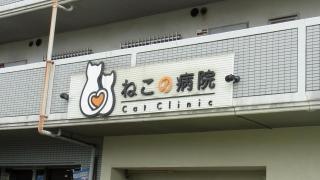 ねこの病院