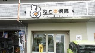 ねこの病院