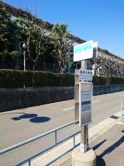 「諏訪小学校」バス停留所