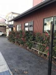 ＩＺＡＫＡＹＡ　ＤＡＲＵＭＡ