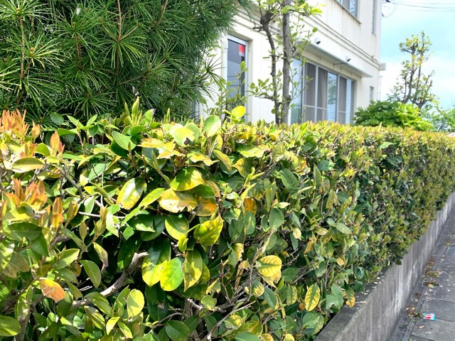 福寿荘 雰囲気