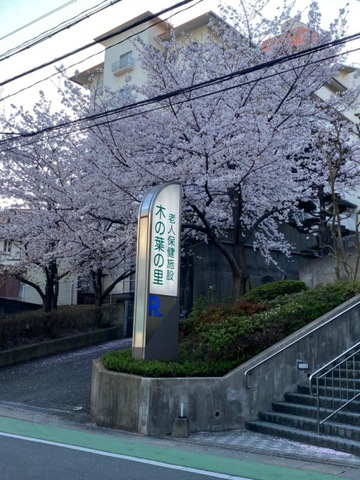 木の葉の里 看板