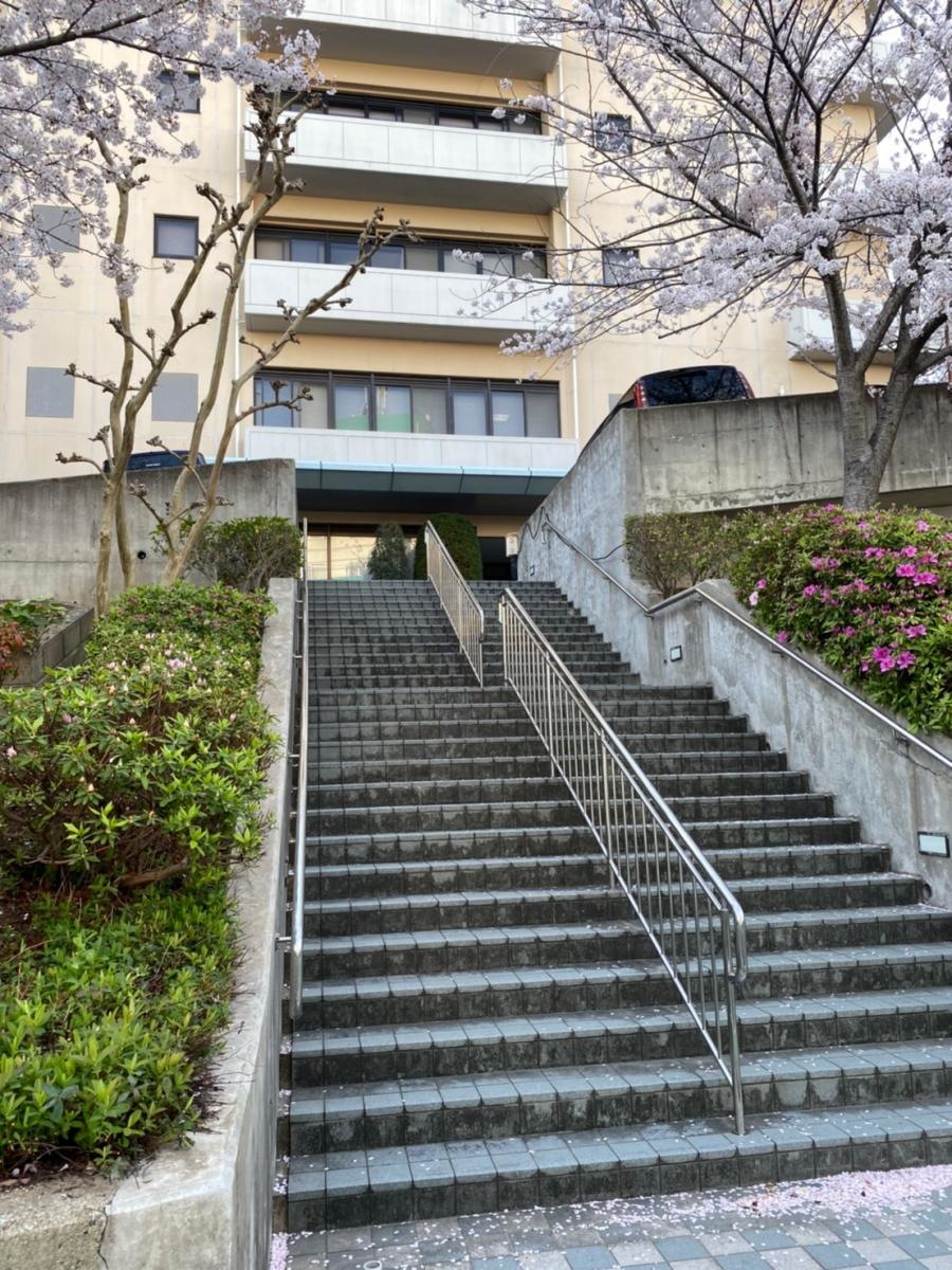 木の葉の里