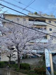 木の葉の里