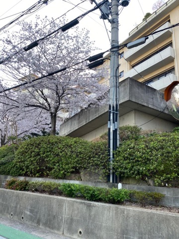 木の葉の里 施設外観