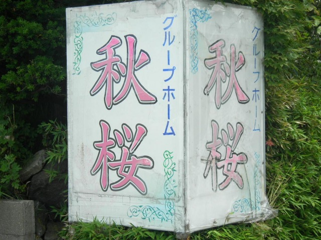 秋桜