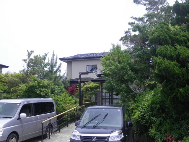 秋桜