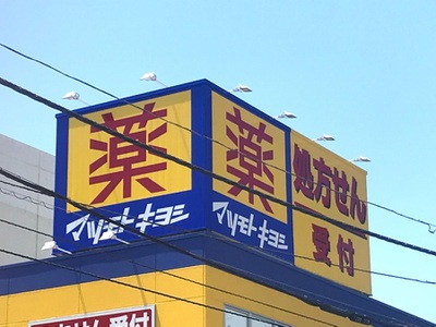 マーケットピア マツモトキヨシ 小金店 松戸市小金