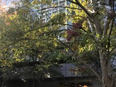 都市センターホテル