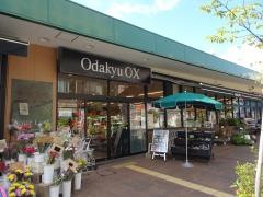 ＯｄａｋｙｕＯＸ小田原店
