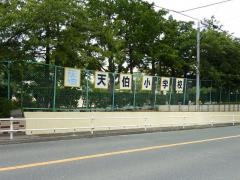 天伯小学校
