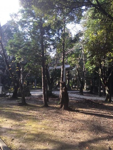 施設写真40