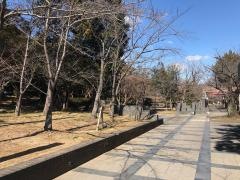 大山緑地
