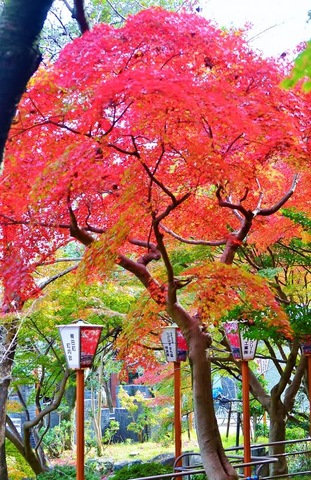 施設写真46