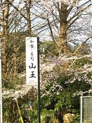 山王