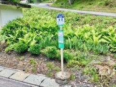 「岩室」バス停留所