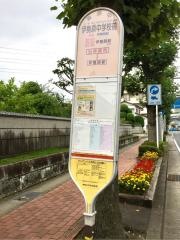 「伊勢原中学校前」バス停留所
