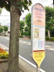 「伊勢原中学校前」バス停留所