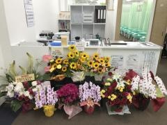 長津田あおば接骨院