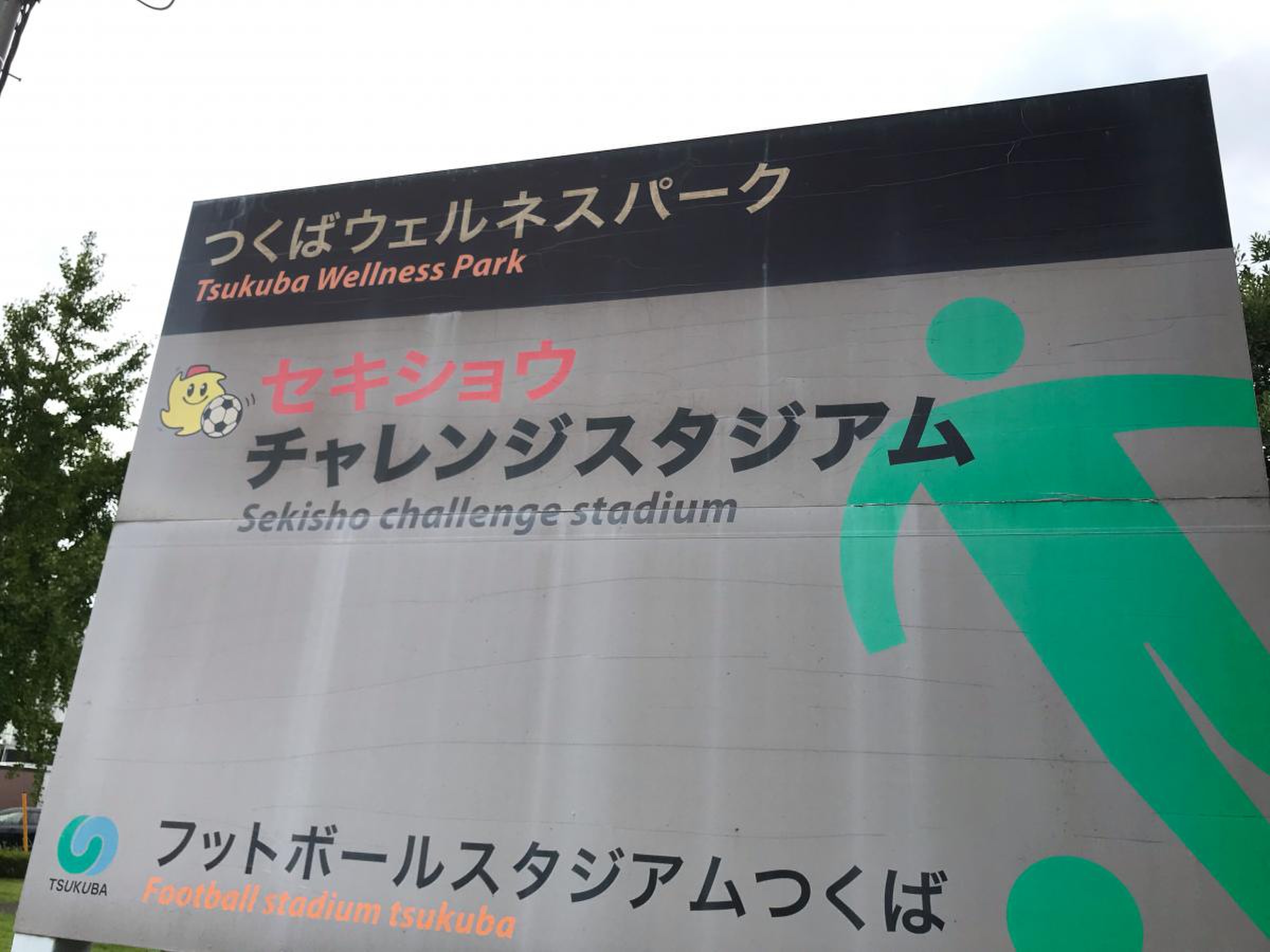 セキショウ チャレンジ スタジアム
