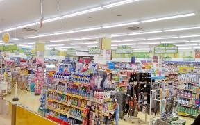 ツルハドラッグ　フレスポ若葉台店