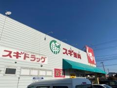 スギ薬局　市場店