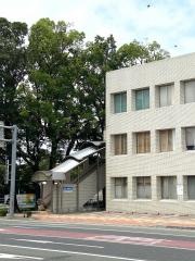 宇野耳鼻咽喉科アレルギー科医院