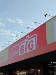 ザ・ビッグ多布施店