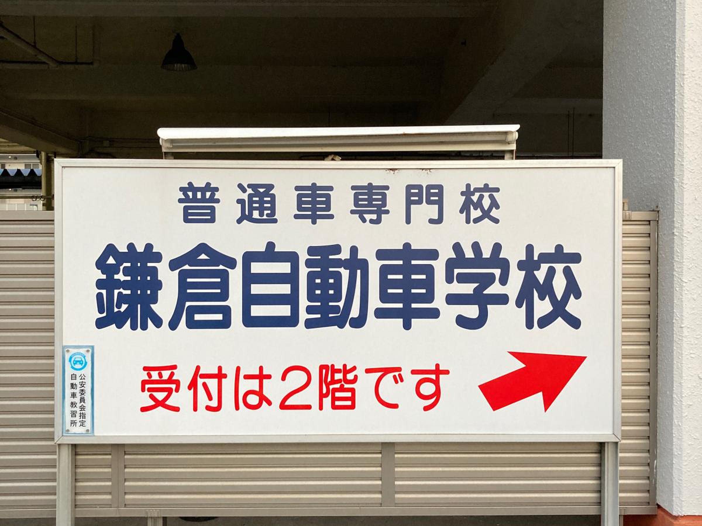 鎌倉 自動車 学校
