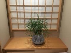 旅館二葉