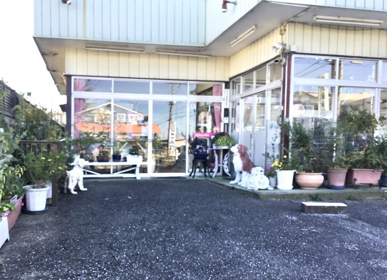 埼玉ペットショップ　川越市