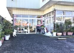 埼玉ペットショップ