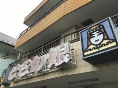 どさん娘