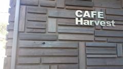 ＣＡＦＥＨａｒｖｅｓｔ