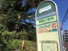 「根岸小学校」バス停留所