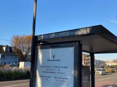 「永野小学校前」バス停留所