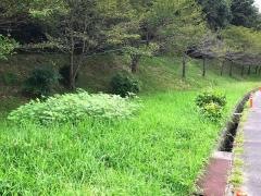 大角氏庭園