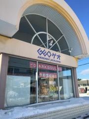 ゲオ森店