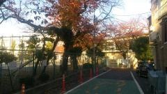 経堂小学校