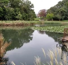 もえぎ野公園