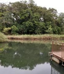 もえぎ野公園