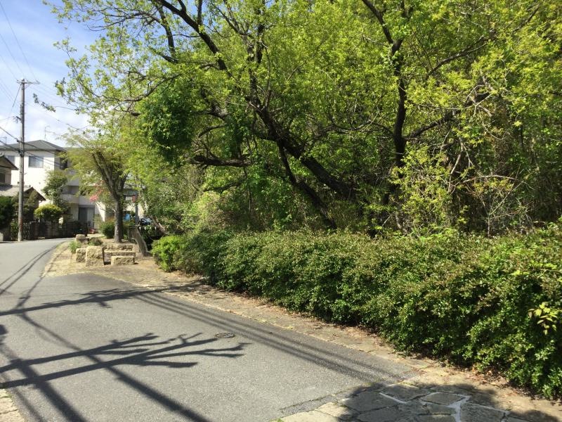 新井緑道。