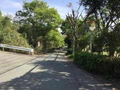 新井緑道