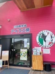 小田原牧場アイス工房