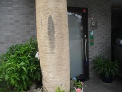 谷口歯科医院