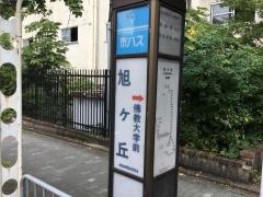 「旭ケ丘」バス停留所
