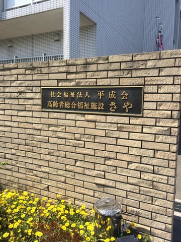 さや