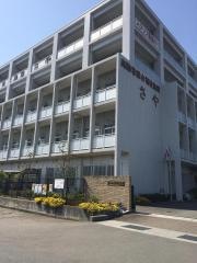 さや