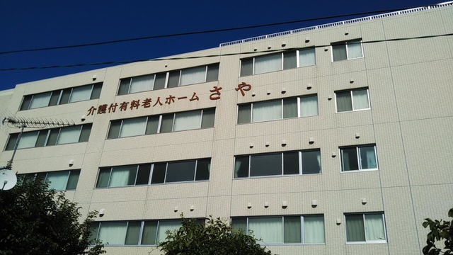 さや